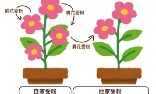 艾滋引起的关节疼是什么感觉-艾滋病人是身体合关节疼吗网 :分享艾滋病关节会疼吗-艾滋病引起的关节疼是全身的吗知识
